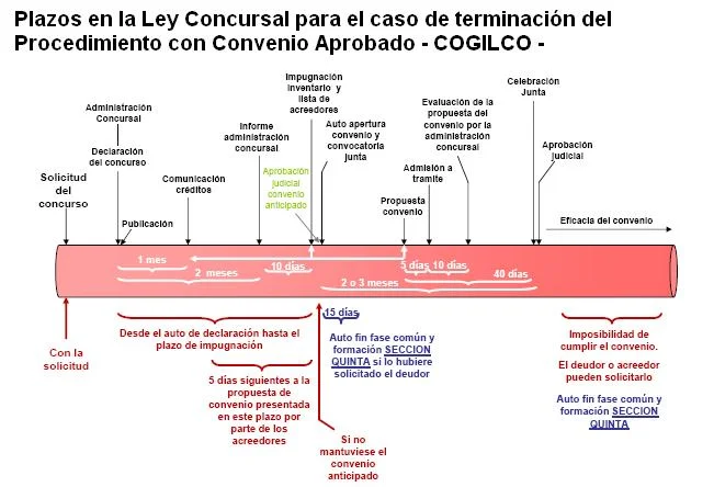 Plazo para el administrador concursal en asuntos legales