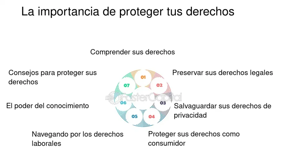 Protección legal ante insolvencia: derechos que debes conocer