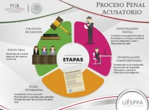 Relevancia de las etapas procesales en el sistema legal