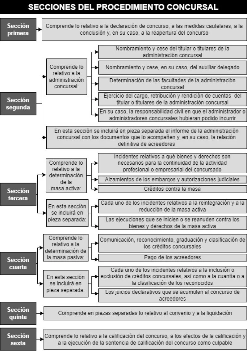 Responsabilidad en el inicio de un proceso concursal