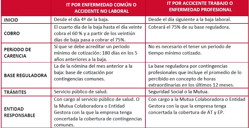 Tiempos y plazos del tribunal médico en litigios de salud