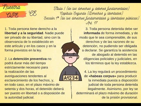 Todo lo esencial del artículo 17 con nuestros abogados expertos