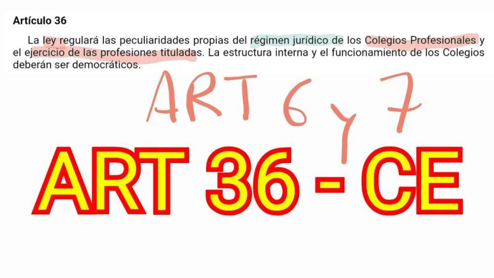 Todo lo que necesitas saber sobre el artículo 36 y abogados