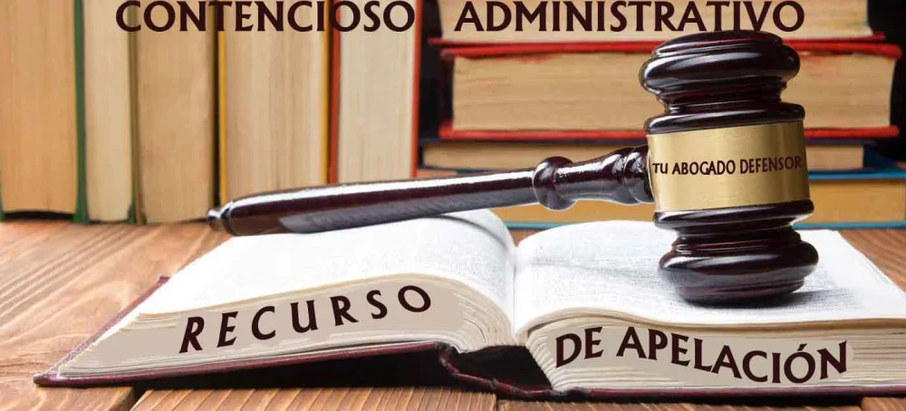 Abogados especializados en resolver apelaciones contencioso-administrativas