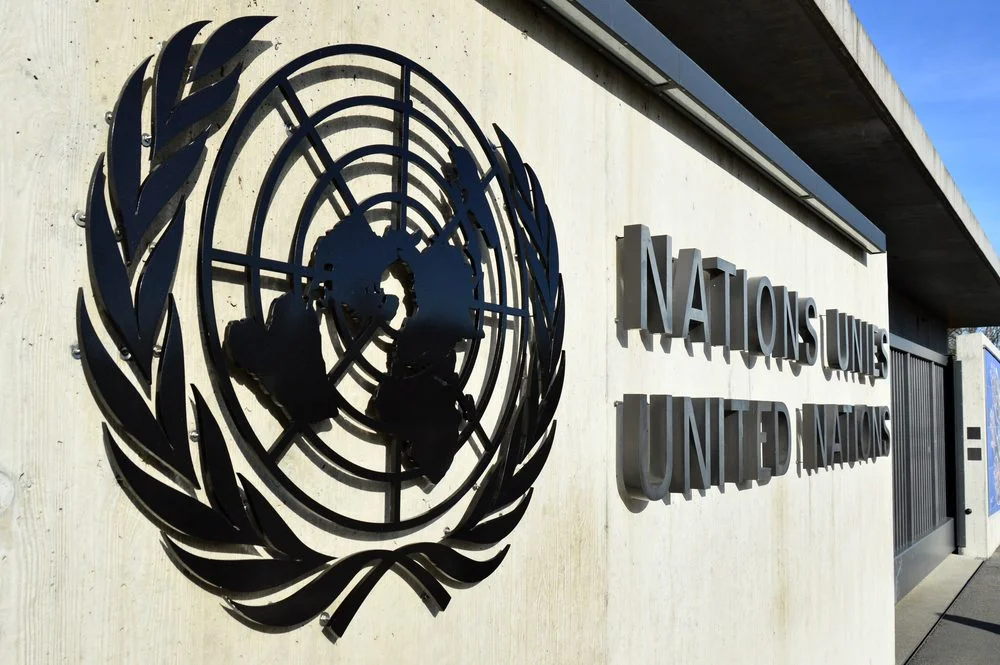 Abogados: Estrategias efectivas para acceder a la ONU