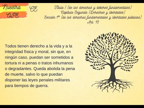 Artículo 15 de la Constitución Española: información clave de abogados
