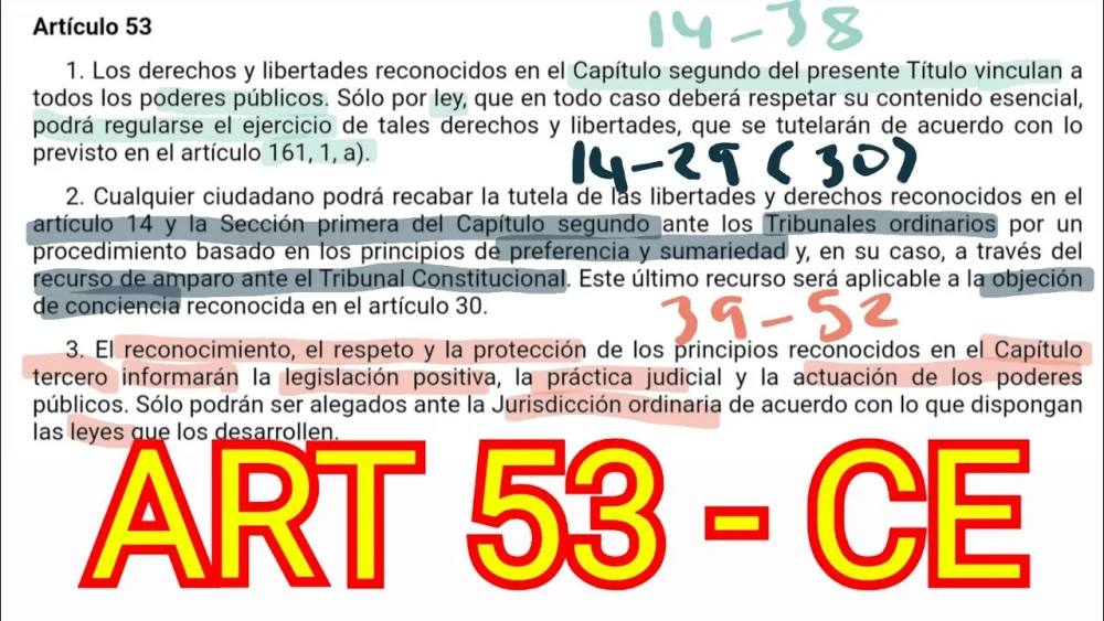 Artículo 53 de la Constitución Española: Claves para Abogados