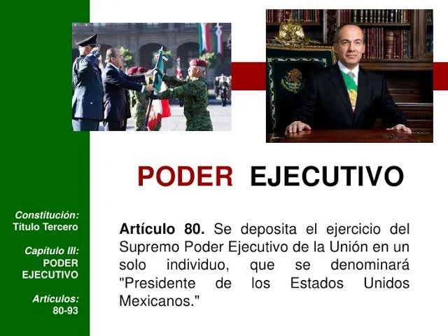 Artículo 80 de la constitución: implicaciones legales explicadas por expertos
