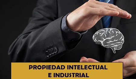 Asesoría integral sobre el pago de propiedad intelectual legal