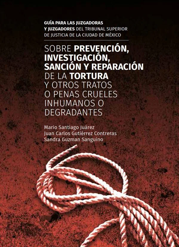 Consecuencias legales de violaciones a derechos humanos: guía para abogados