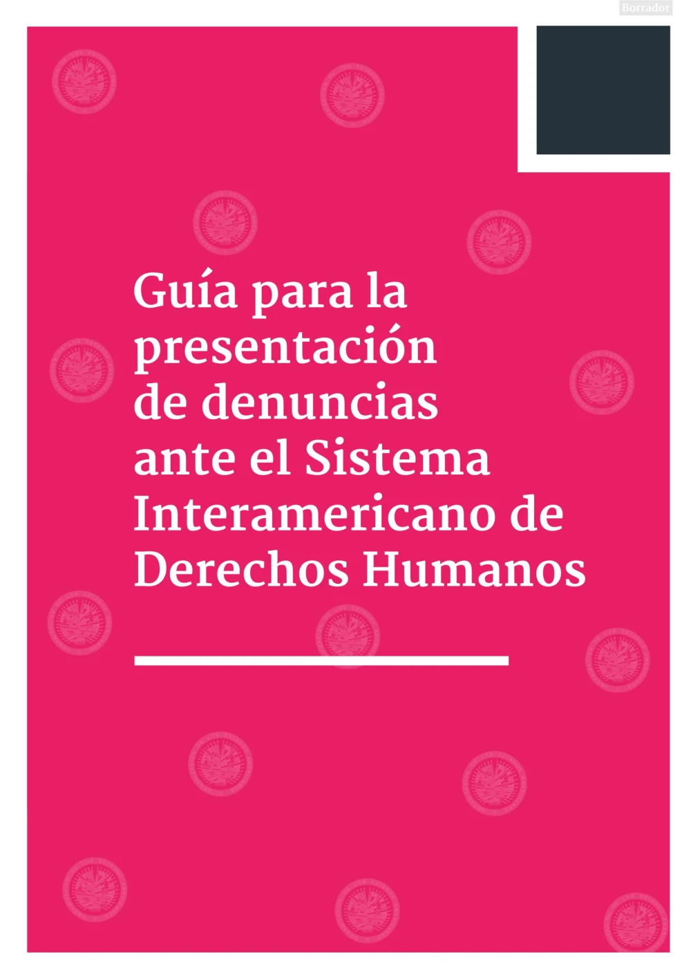 Guía para presentar adecuadamente una denuncia de derechos humanos