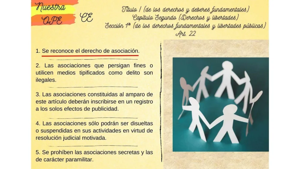 Interpretación del artículo 22 de la Constitución: Abogados opinan