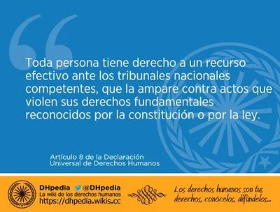 La importancia del artículo 8 en el ámbito legal hoy