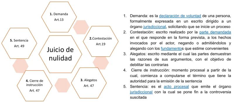 Plazos legales para solicitar la nulidad: tiempo disponible