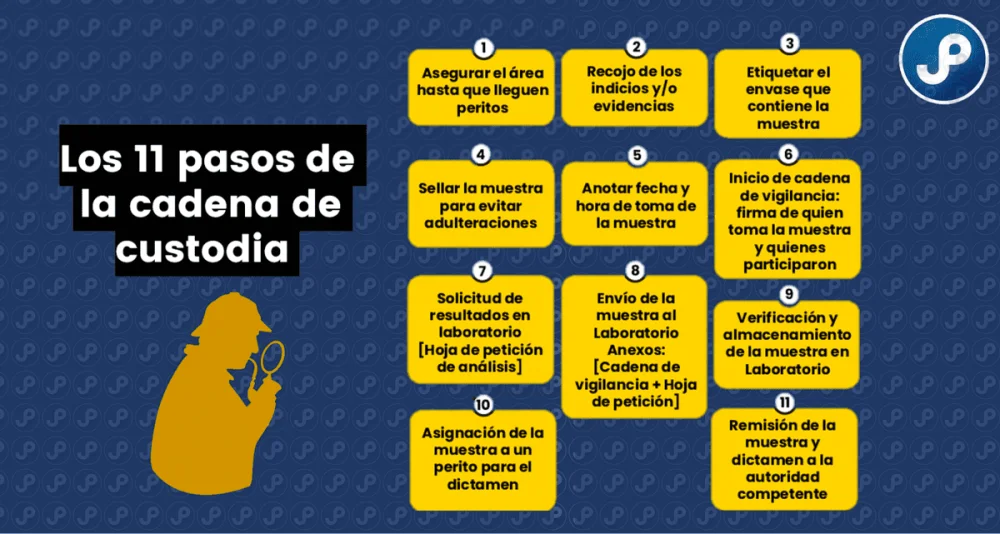 Guía esencial para iniciar un proceso de custodia legal