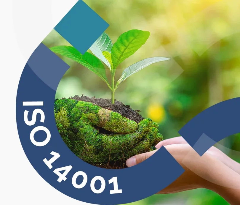Ley 14001: guía esencial sobre su impacto legal