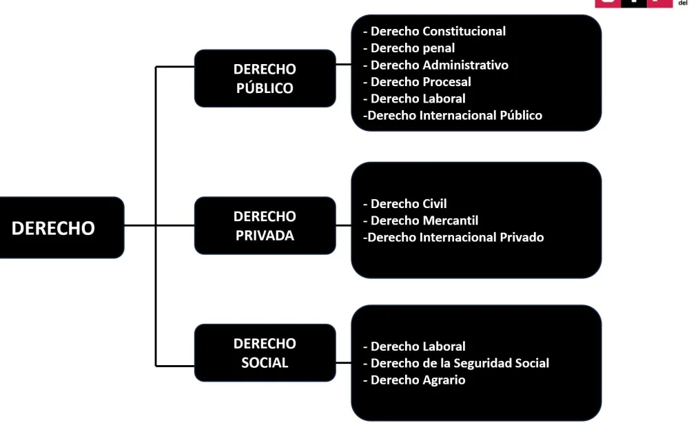 Ramas del derecho internacional: guía esencial para abogados