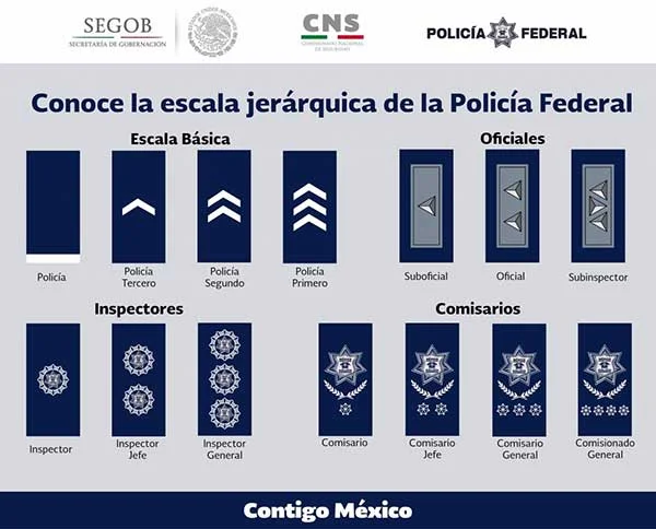 Salario de abogados en derecho militar: cuánto gana un policía