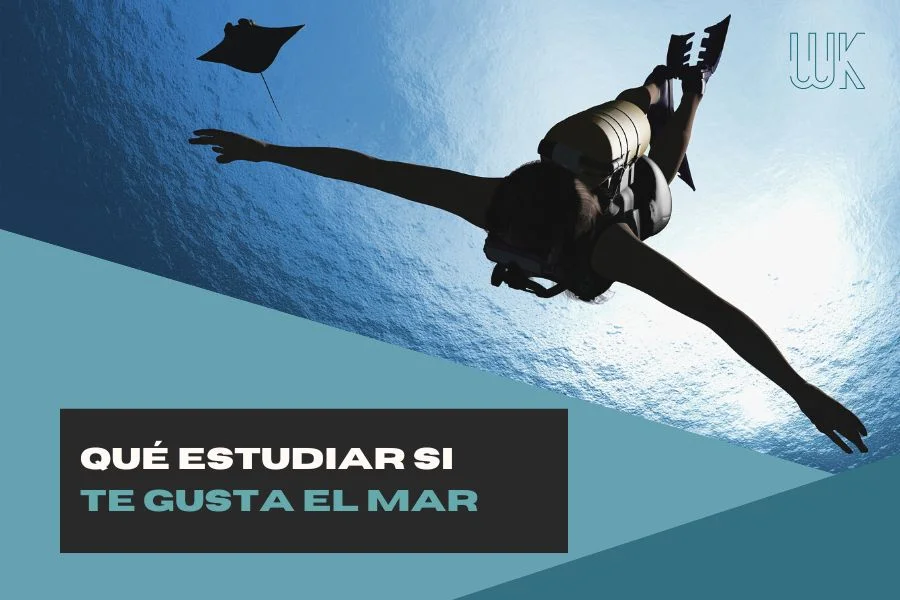 Abogados marítimos: ¿qué carrera elegir para investigar el mar?