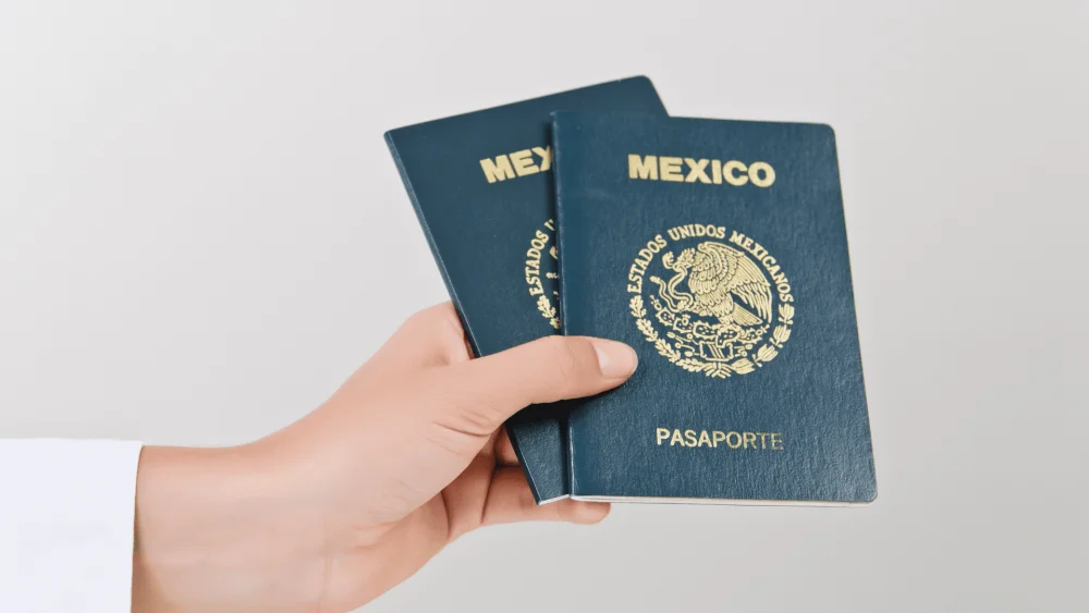 Artículo 115 de la Ley de Instituciones de Crédito: Guía esencial para abogados