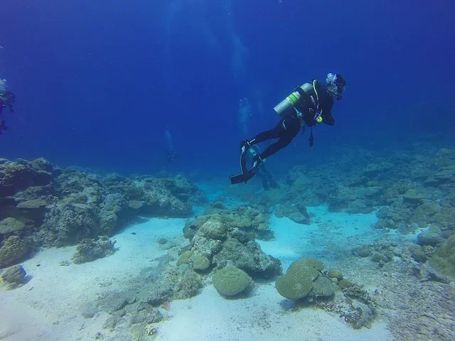 Conoce la carrera de oceanología para profesionales del derecho