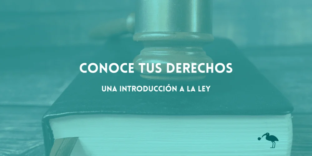 Conoce tus derechos legales con la ayuda de nuestros abogados