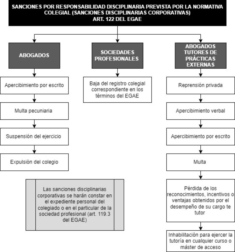 ¿Cuándo clasificar una multa como grave? Abogados aclaran