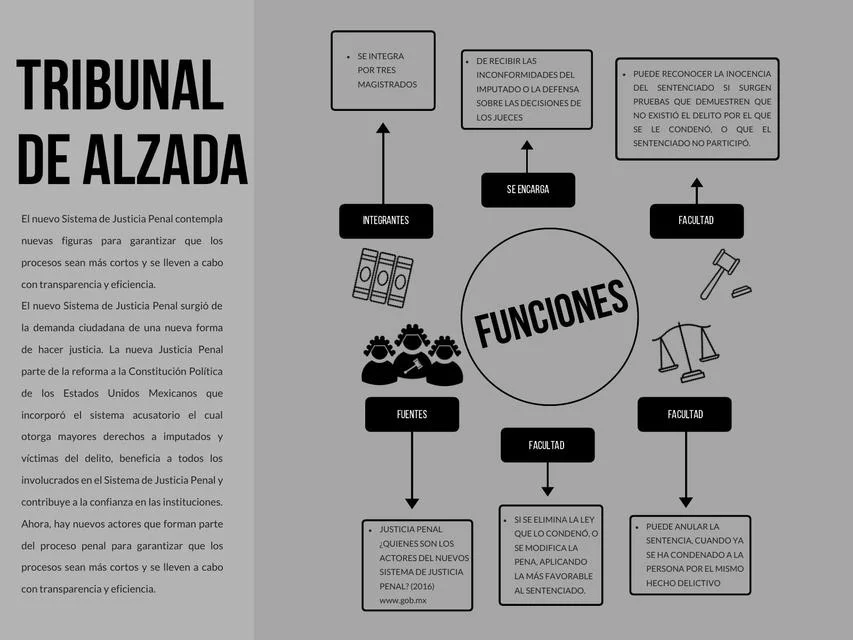 Funciones y resoluciones del tribunal de alzada en el derecho