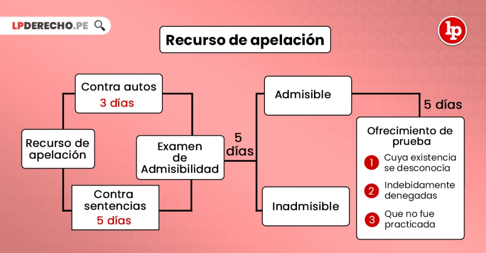 Guía para abogados sobre la improcedencia del recurso de apelación