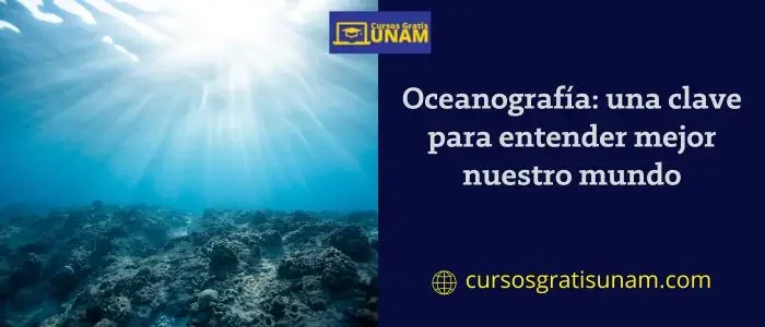 Guía para estudiar oceanografía: el camino hacia el mar