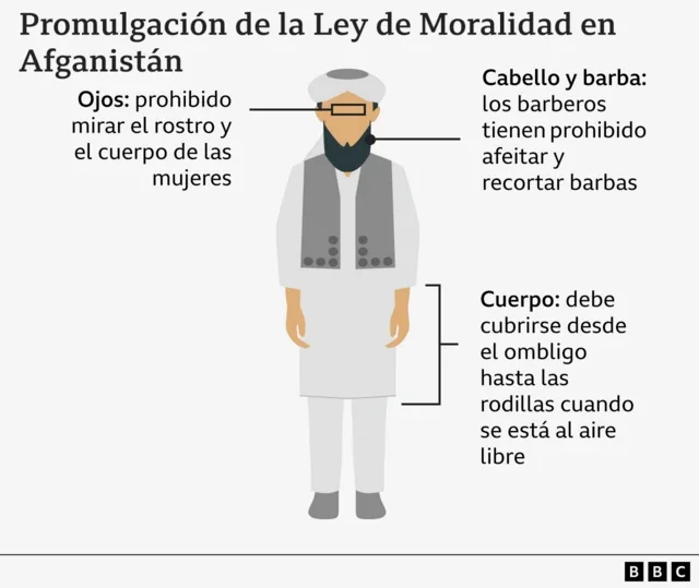 Leyes de Rodias: Todo lo que necesitas saber legalmente
