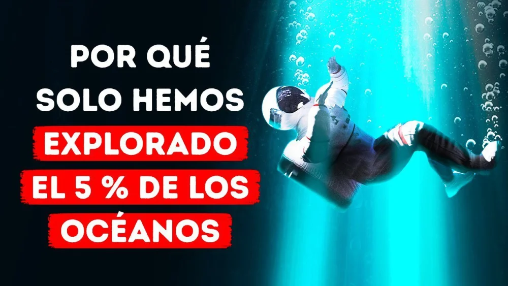 Revela secretos del 95% del océano con abogados expertos