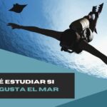 Abogados marítimos: ¿qué carrera elegir para investigar el mar?