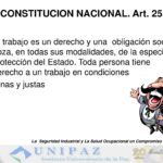 Análisis del Artículo 25 de la Constitución: Derechos y Garantías