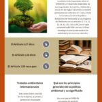 Artículo 127: Interpretación y relevancia en el ámbito legal