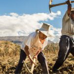 Artículo 13 de la Ley Agraria: Impacto en el Sector Legal