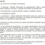 Artículo 20 de la Constitución: Análisis de derechos fundamentales
