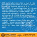Artículo 25 y 26: Información esencial para abogados