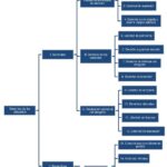 Artículo 52 de la Constitución: visión de abogados sobre derechos fundamentales