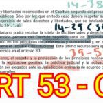 Artículo 53 de la Constitución Española: Claves para Abogados