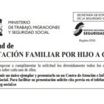 Asignación económica por hijo según la ley: Abogados expertos