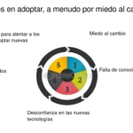 Aspectos clave sobre la adopción: Perspectivas de abogados expertos
