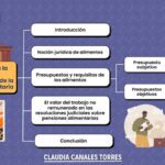 Aspectos fundamentales que influyen en la fijación de pensiones alimenticias