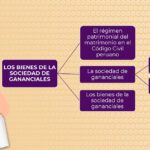 Bienes excluidos de la sociedad de gananciales: guía legal
