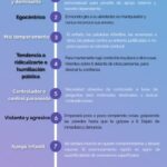 Características del agresor: perfil de un hombre violento según abogados