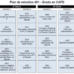 Carrera de Cafyd: Duración y requisitos para su estudio
