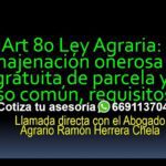 Clave del artículo 80 de la ley agraria para abogados