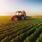 Claves esenciales para abogados en derecho agrario