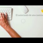 Claves legales: titular vs autorizado en el ámbito jurídico