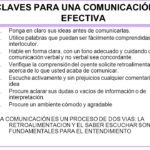 Claves para una comunicación efectiva con el notario legal